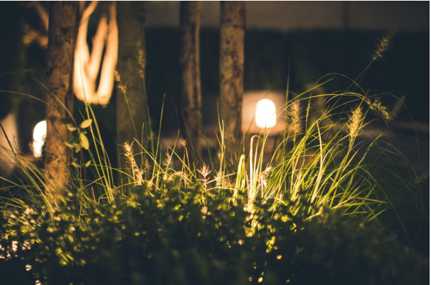 How Landscape Lighting Solutions Can Increase Your Property Value
